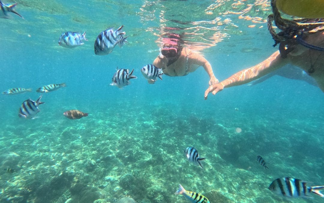 Snorkeling and ATV Ride Combo