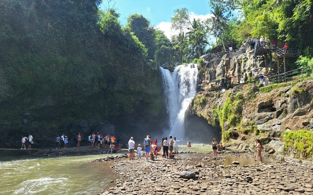 Ubud Highlight Day Tour